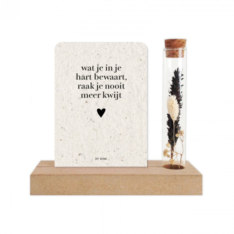 Memory Shelf - Wat je in je hart bewaart...