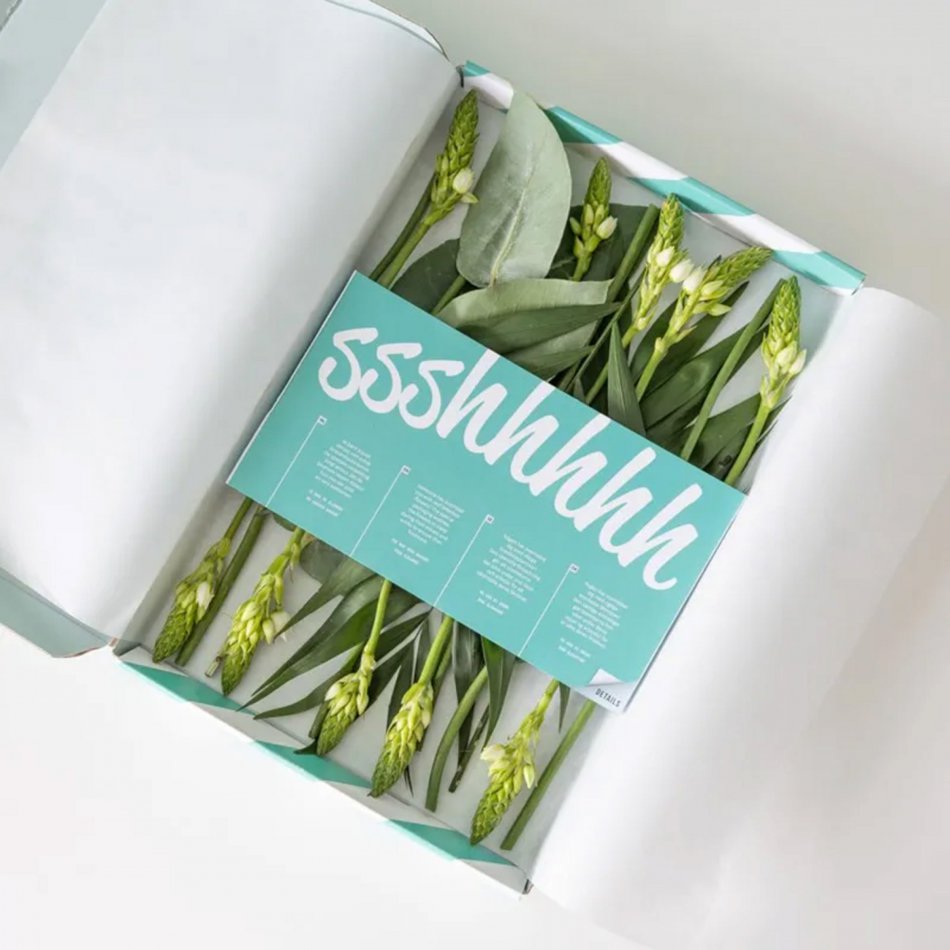 Sereen Brievenbusbloemen